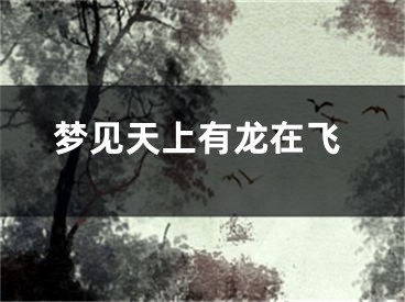 梦见天上有龙在飞