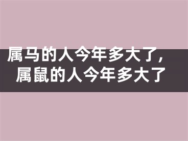 属马的人今年多大了,属鼠的人今年多大了