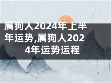 属狗人2024年上半年运势,属狗人2024年运势运程