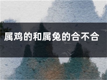 属鸡的和属兔的合不合