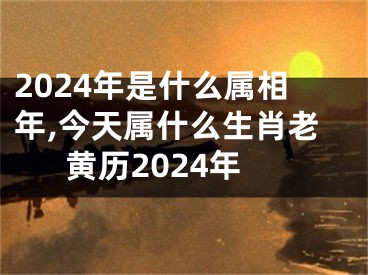 2024年是什么属相年,今天属什么生肖老黄历2024年