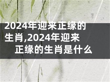 2024年迎来正缘的生肖,2024年迎来正缘的生肖是什么