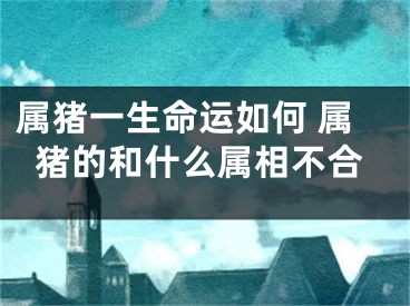 属猪一生命运如何 属猪的和什么属相不合