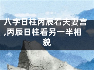 八字日柱丙辰看夫妻宫,丙辰日柱看另一半相貌