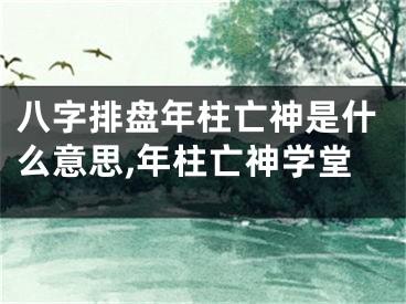 八字排盘年柱亡神是什么意思,年柱亡神学堂