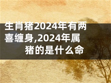 生肖猪2024年有两喜缠身,2024年属猪的是什么命