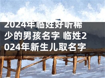 2024年临姓好听稀少的男孩名字 临姓2024年新生儿取名字