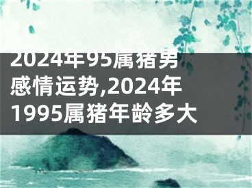 2024年95属猪男感情运势,2024年1995属猪年龄多大