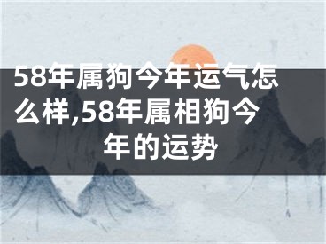 58年属狗今年运气怎么样,58年属相狗今年的运势