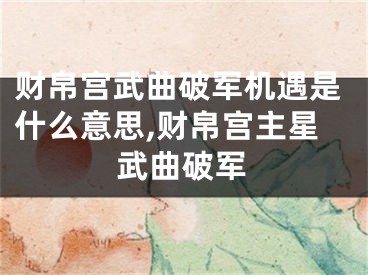 财帛宫武曲破军机遇是什么意思,财帛宫主星武曲破军