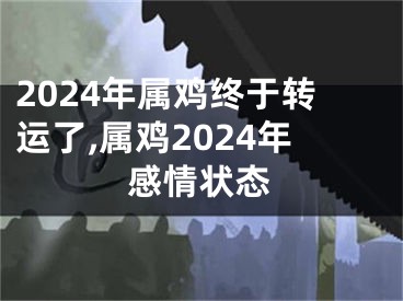 2024年属鸡终于转运了,属鸡2024年感情状态