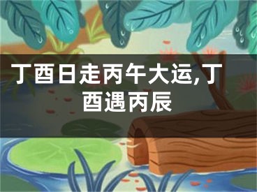 丁酉日走丙午大运,丁酉遇丙辰