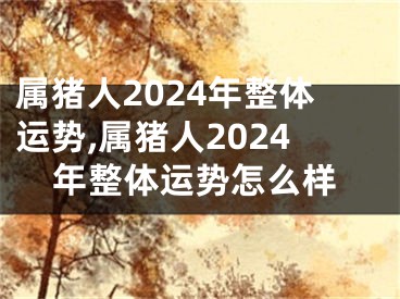属猪人2024年整体运势,属猪人2024年整体运势怎么样