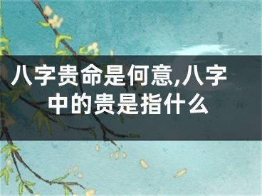 八字贵命是何意,八字中的贵是指什么