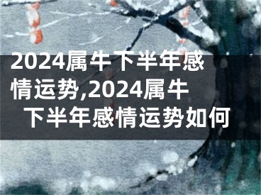 2024属牛下半年感情运势,2024属牛下半年感情运势如何