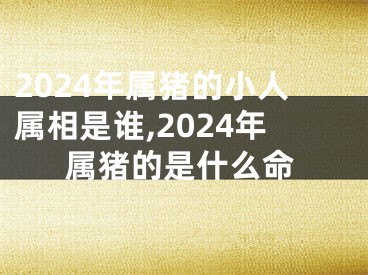 2024年属猪的小人属相是谁,2024年属猪的是什么命