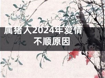 属猪人2024年爱情不顺原因