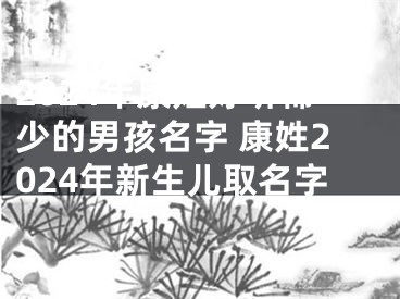 2024年康姓好听稀少的男孩名字 康姓2024年新生儿取名字