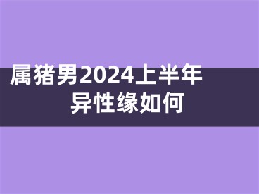 属猪男2024上半年异性缘如何