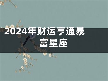 2024年财运亨通暴富星座
