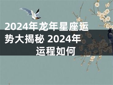 2024年龙年星座运势大揭秘 2024年运程如何