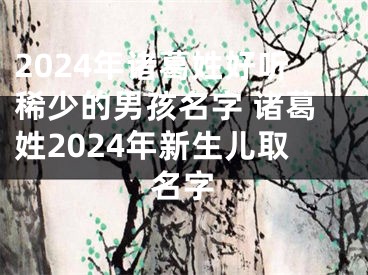 2024年诸葛姓好听稀少的男孩名字 诸葛姓2024年新生儿取名字
