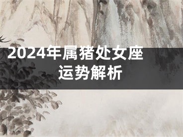 2024年属猪处女座运势解析