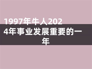 1997年牛人2024年事业发展重要的一年