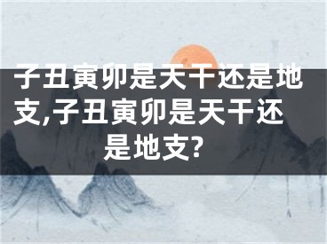 子丑寅卯是天干还是地支,子丑寅卯是天干还是地支?