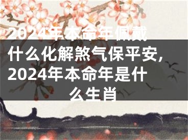 2024年本命年佩戴什么化解煞气保平安,2024年本命年是什么生肖