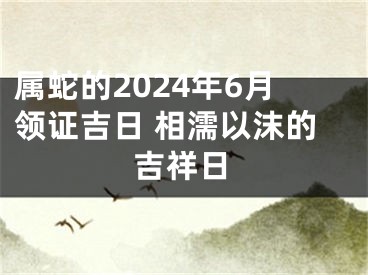 属蛇的2024年6月领证吉日 相濡以沫的吉祥日