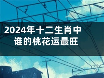 2024年十二生肖中谁的桃花运最旺 