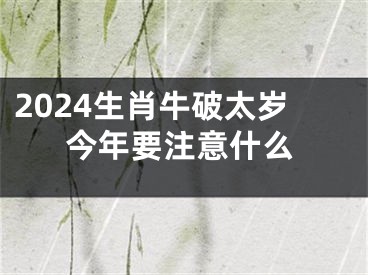 2024生肖牛破太岁今年要注意什么
