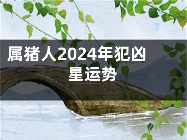 属猪人2024年犯凶星运势