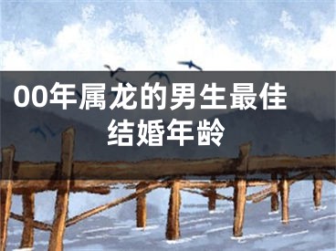 00年属龙的男生最佳结婚年龄