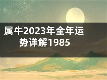 属牛2023年全年运势详解1985