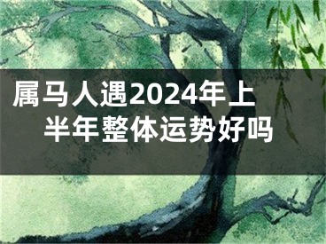 属马人遇2024年上半年整体运势好吗