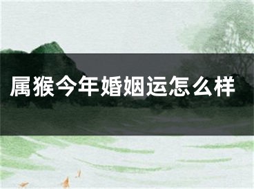 属猴今年婚姻运怎么样