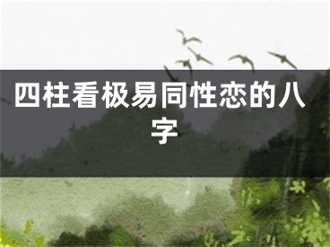 四柱看极易同性恋的八字