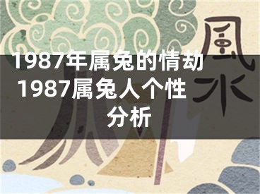 1987年属兔的情劫 1987属兔人个性分析