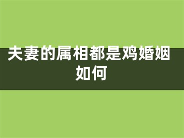 夫妻的属相都是鸡婚姻如何