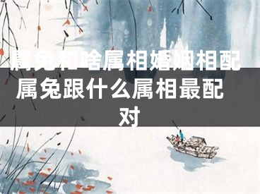 属兔和啥属相婚姻相配 属兔跟什么属相最配对