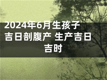 2024年6月生孩子吉日剖腹产 生产吉日吉时