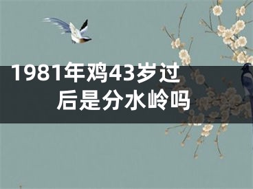 1981年鸡43岁过后是分水岭吗