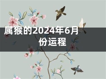 属猴的2024年6月份运程