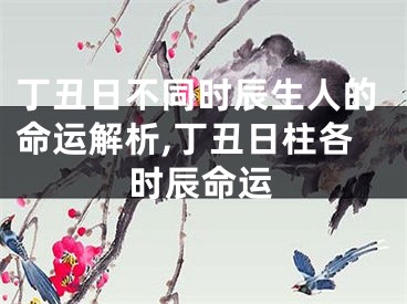 丁丑日不同时辰生人的命运解析,丁丑日柱各时辰命运