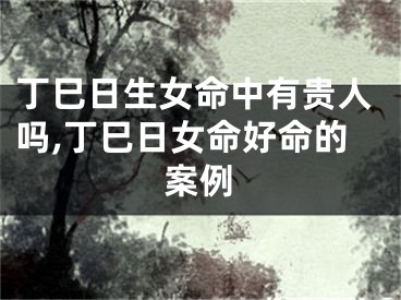 丁巳日生女命中有贵人吗,丁巳日女命好命的案例