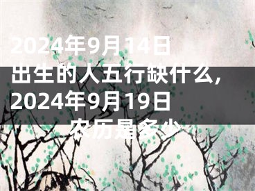 2024年9月14日出生的人五行缺什么,2024年9月19日农历是多少
