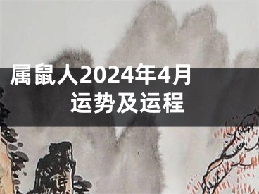 属鼠人2024年4月运势及运程