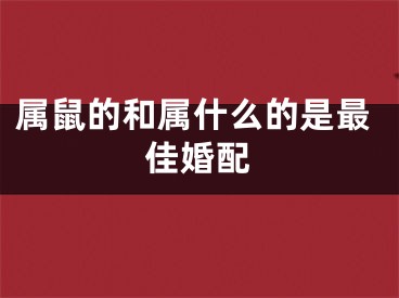 属鼠的和属什么的是最佳婚配